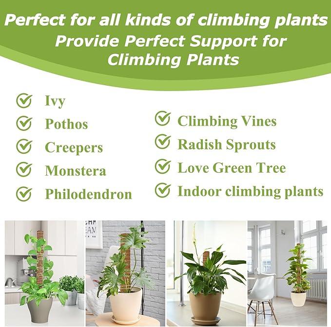 2 Pcs 15.7" Moss Totem Poles for Monstera, Coco Coir Plant Support Stakes with Jute String for Climbing Indoor Potted Plants