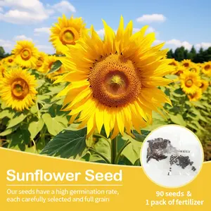 90 Pcs Mixed Color Sunflower Seeds with 1Pack Fertilizer, Sunflower Seeds Plant Seeds Easy Grow for Colorful and Organic Garden, Great Gardening Gifts