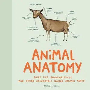 USED-Animal Anatomy: Sniff Tips, Running Sticks, and Other Accurately Named Animal Parts by Corrigan, Sophie (Hardcover)