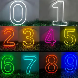 Colorful Number Neon Sign, USB Powered LED Luminous Wall Mount Neon Light, Decorative Light for Birthday Party, Home, Office, Shop, Coffee Shop, Restaurant, Outdoor Indoor Decor