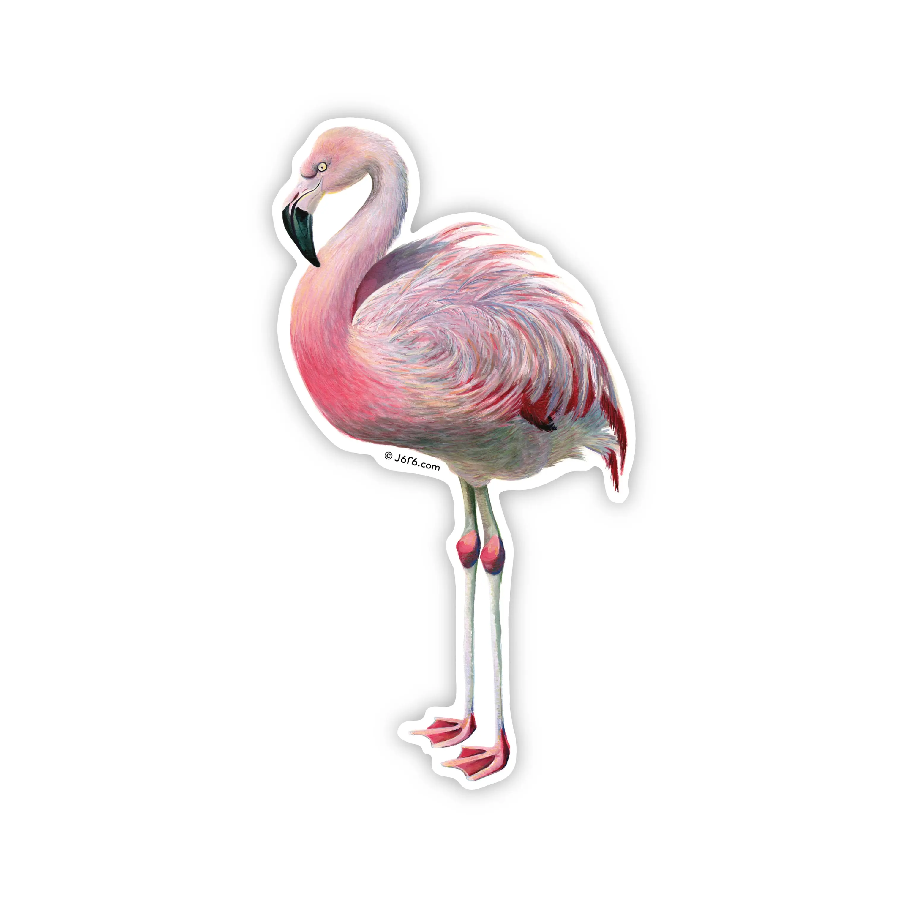 Flamingo Vinyl Sticker