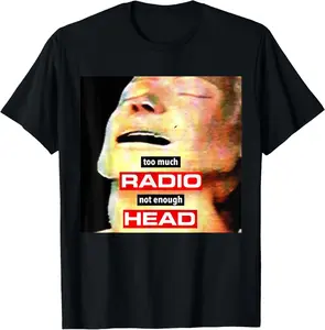 100% CottonToo Much Radio Not Enough Head Meme T-Shirt