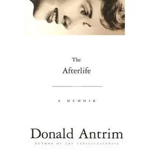 USED-The Afterlife by Donald Antrim (Hardcover)