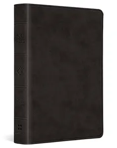 ESV Large Print Value Compact Bible, Red Letter (Trutone, Black) -- Esv Bibles, Leather / Fine Binding