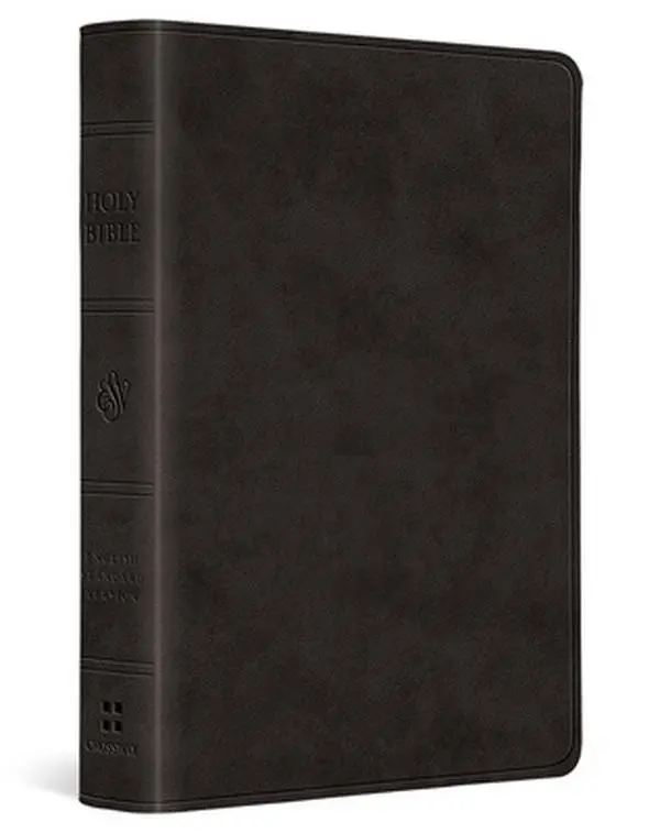 English ESV Large Print Value Edition Bible - Affordable, Red Letter, Trutone Black Leather/Fine Binding, Easy Readability, Increased Readability (Religion & Philosophy Book)