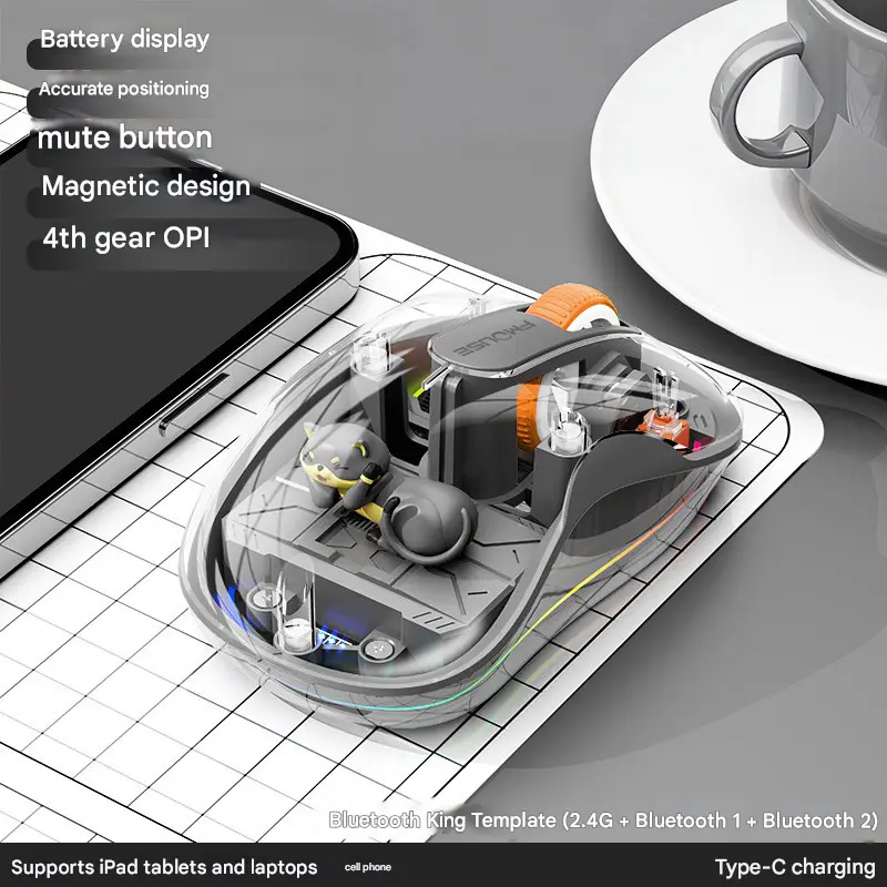 USB + Type-C dual receiver + random plush toy (Spa