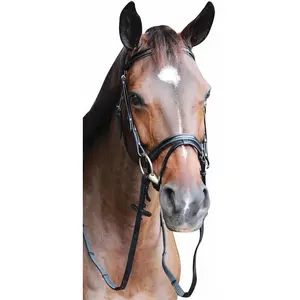 Henri de Rivel Pro Piaffe Mono Crown Bridle with Flash Noseband with Patent Leather
