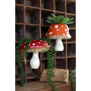 Set Of Two Ceramic Toadstool Wall Planters