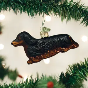 Long-haired Dachshund