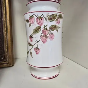 Large Strawberry Container no Lid