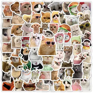 100 Pcs of Cute Kawaii Cat Meme Stickers - Funny Decals for Adults, Teens | Personalizing Skateboard,Bicycle,Notebooks,Stationery,Laptop,Water Bottles
