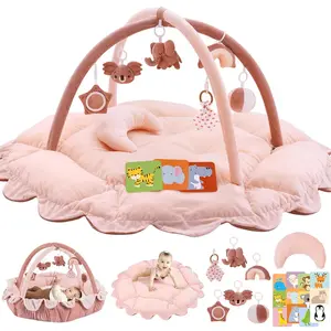5-in-1 Plush Baby Play Gym, Activity Mat with Convertible Gym and Pillow, 6 Sensory Toys, Play Center from Newborn to Toddler, Pink