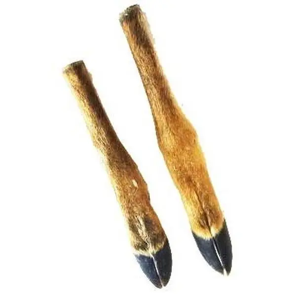 Deer Legs  each