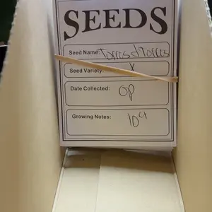 Mystery Cactus Seeds ~ 1 Seed ct. Vendor’s Choice