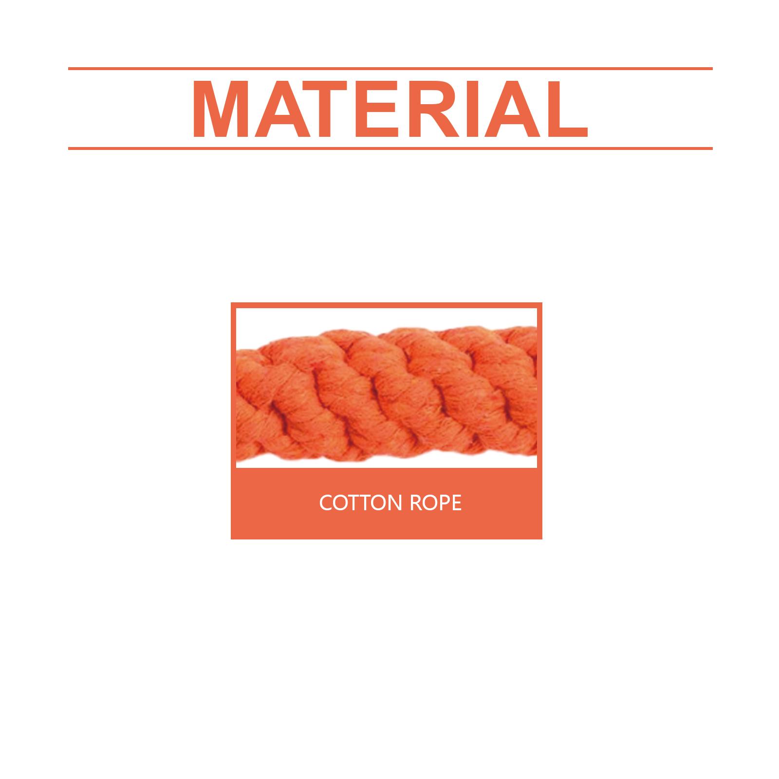 2-Pack EelJoy Pet Teething Carrots Cute Chewable Teethers for Dental Care and Bite Prevention