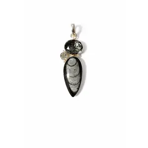 Black Rutilated Quartz, White Topaz and Orthoceras Fossil