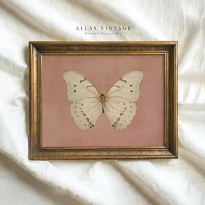 Vintage White Butterfly Print, Neutral Moody Insect Printable Wall Art, Farmhouse Pink Decor, Antique Moth Painting Art Prints