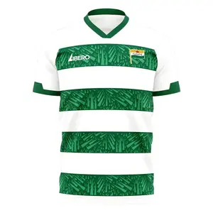 Lechia Gdansk 2025-2026 Home Concept Shirt (Libero) Football Jersey Shirt, Unisex Fan Edition