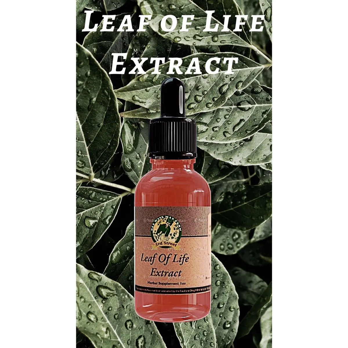 Leaf of Life Extract undiluted 1oz