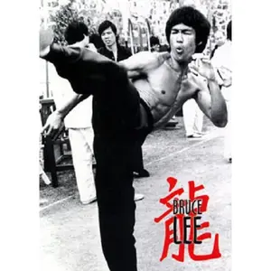 Bruce Lee Poster