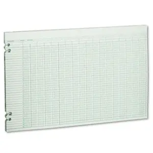Wilson 30-Column Accounting Loose Sheets, 11x17 in, 100 Double-Page Slotted-Hole Sheets, Office & Classroom Supplies for Record Keeping (GN)