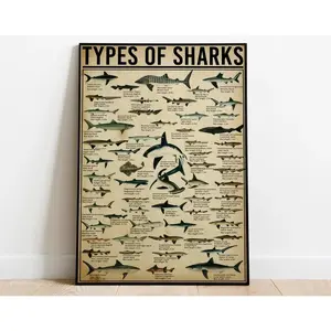 [UNFRAMED POSTER] Shark Knowledge Poster, Types Of Shark Poster, Shark Identification Guide Knowledge Poster, Shark Wall Art Home Decor, Identification Guide