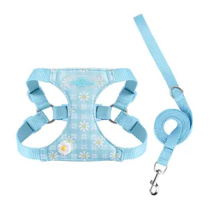 Dog daisy harness, small dog leash, Bichon Frise outdoor dog rope, pet puppy harness, lightweight, Teddy Bear