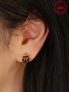 925 Sterling Silver Tiger Eye Decor Stud Earrings, Fashionable Jewelry for Women, Trendy All-match & Exquisite Jewelry for Birthday Gift
