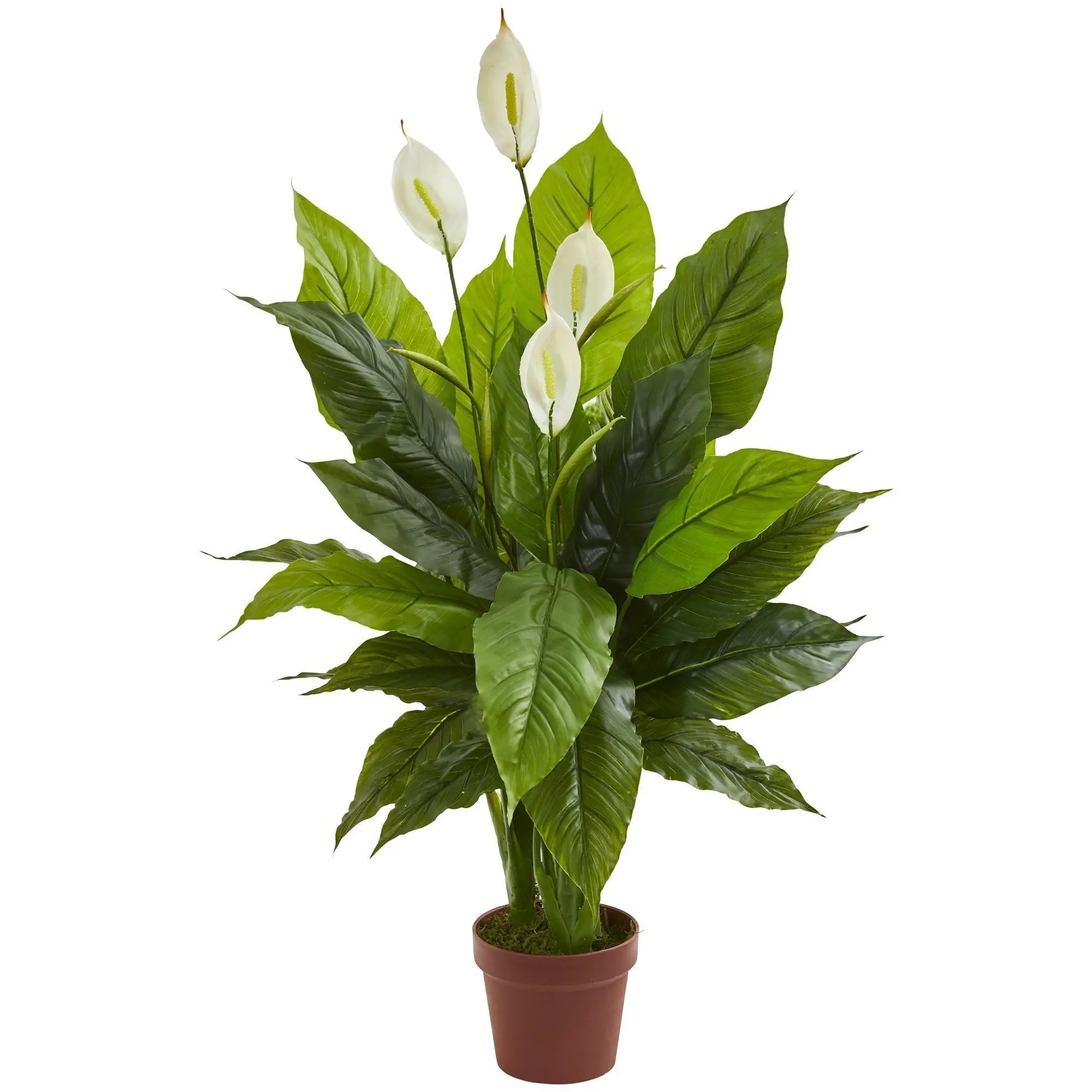 42-in Soft Synthetic Real-Touch Spathiphyllum Artificial Indoor Plant with Pure White Blossoms, Living Room Plant Decor, Botanical Aesthetic Home Accent 42-in Soft Synthetic Real-Touch Spathiphyllum Artificial Indoor Plant with Pure White Blossoms, Living Room Plant Decor, Botanical Aesthetic Home Accent