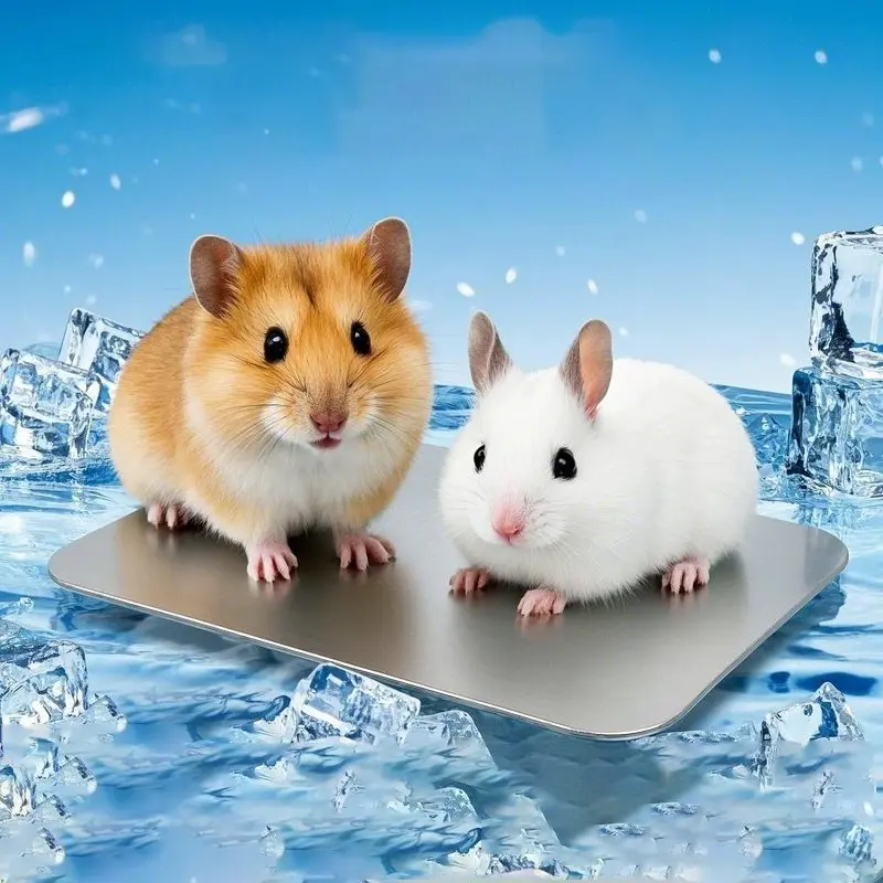 Pet Ice Pad for Small Animals, Hamster Cooling Mat, Summer Ice Bed for Golden Hamsters, Chinchillas, Guinea Pigs, Heat Relief
