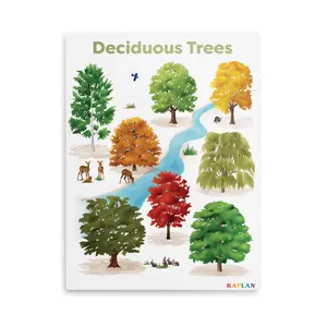 Kaplan Early Learning Deciduous Tree Giclee Classroom Wall Print | Nature-Inspired Room Décor | 18" x 24" | Plant Canvas Wall Art