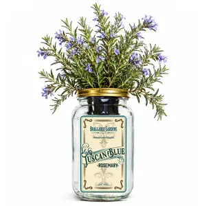 Braggable Gardens Tuscan Blue Rosemary Indoor Herb Garden Kit – Mason Jar Hydroponic Grow Kit – Countertop Windowsill Herb Planter – Self Watering Kitchen Herb Garden