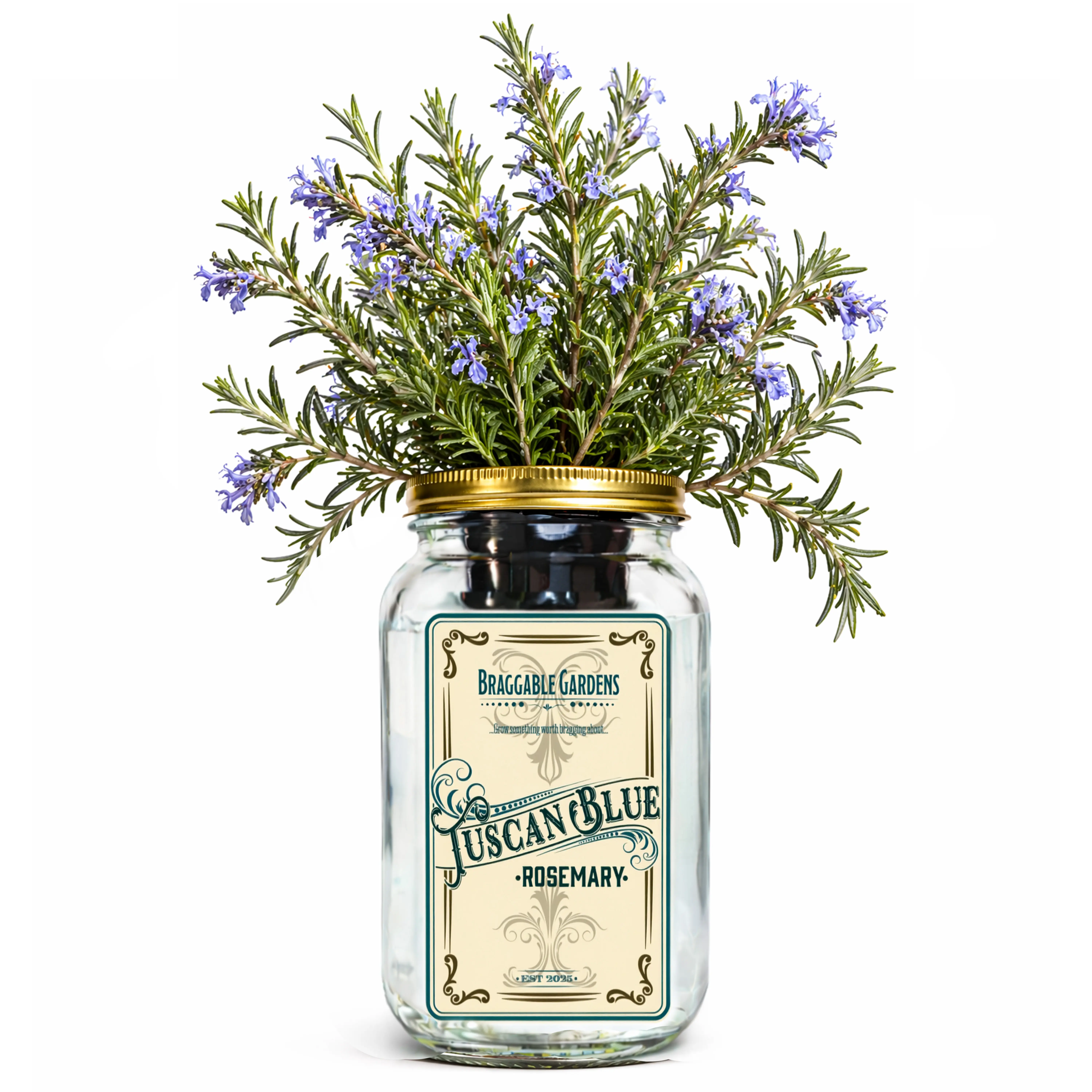 Braggable Gardens Tuscan Blue Rosemary Indoor Herb Garden Kit – Mason Jar Hydroponic Grow Kit – Countertop Windowsill Herb Planter – Self Watering Kitchen Herb Garden