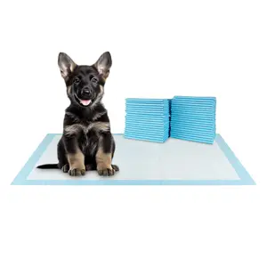 BV Pet Training Pads for Dogs, 30"x36" Training Pad, 20-Count - for Cat, Rabbit, Guinea Pig