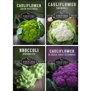Heirloom Cauliflower Seed Collection (4-Variety Pack) – White, Green, Purple & Romanesco