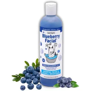 South Bark's Blueberry Facial Pet Shampoo 12 oz Brightener & Tear Stain Remover Long Lasting Odor Eliminator Cruelty Free Paraben Free Made in USA