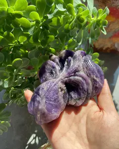 dream amethyst golden fish with pretty banding