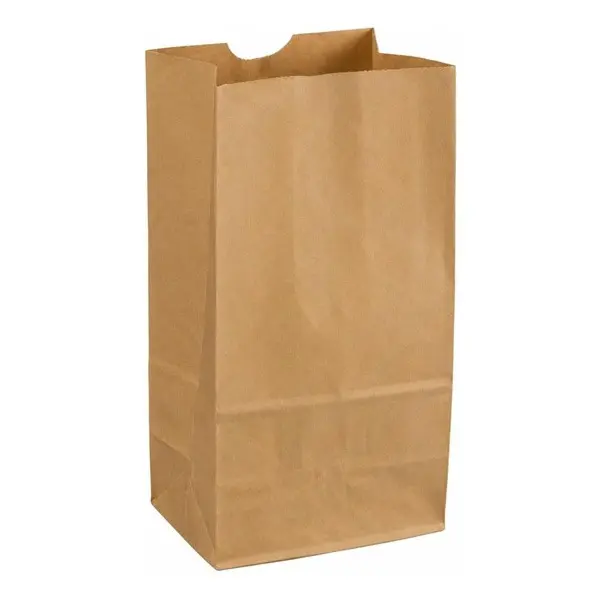 Kraft Brown Paper Lunch Bags, 4 Lb, Bulk Disposable Small Sacks for Snack, Sandwich, Grocery, and Arts and Crafts