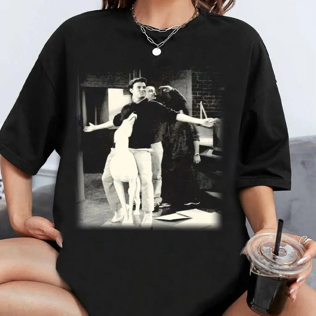 Chandler Bing Vintage Unisex T-Shirt Character Graphic Tee Shirt