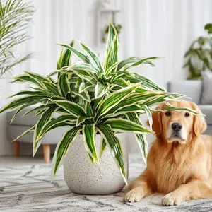 4 Pcs Artificial Greenery Stems Dracaena Faux Branches Artificial Decorative Plants Realistic Fake Dracaena Greenery Realistic Plants for Indoor Outdoor Porch Patio Home Office Living Room Decor