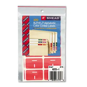 Alpha-Z Color-Coded Second Letter Labels- Letter I- Pink- 100/Pack