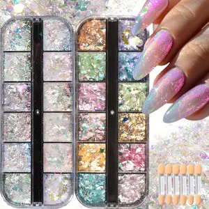 24 Grids Holographic Nail Glitter Set, Iridescent Chunky Flakes Sparkle Nail Art Decoration, 2 Boxes Multicolor Shiny Glitter Powder with Sponge Sticks for DIY Manicure, Nail Salon