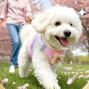 Dopamine Colorblock Dog Walking Harness Chest Strap for Small Dogs, Breathable Cat Leash, Reduces Weight Pressure, Comfortable Pet Vest