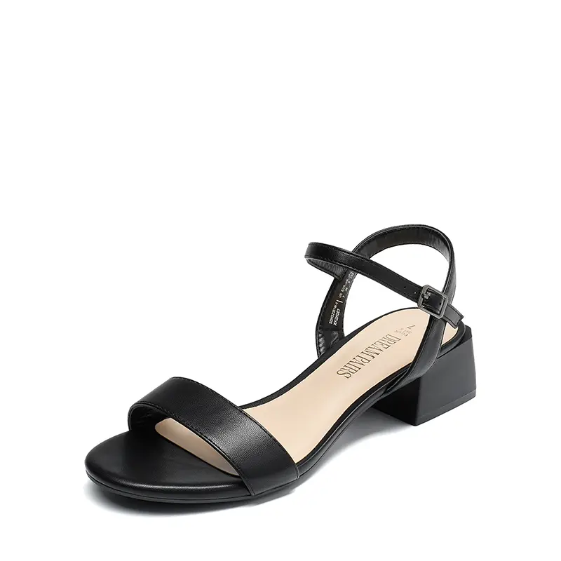 DREAM PAIRS Women's Stylish, Soft, Chunky Low-Heel Open-Toe Ankle-Strap Sandals - Design-Focused Women's Shoe, Footwear