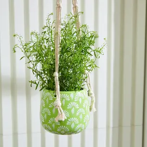 Verde Hanging Planter with Macrame Hanging Planter