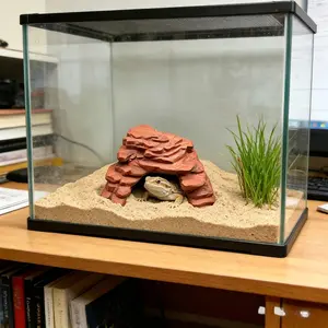 Reptile Eco Tank Decorative Rock Hiding Spot, 3D Printed Pla Material, Moisture Retaining, Climbing & Resting, Gecko & Lizard Specific