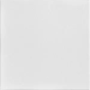 A La Maison Ceilings Basic 20 in x 20 in Decorative Styrofoam Glue-up Ceiling Tiles - #R 22 - (Pack of 96) / 259 sqft