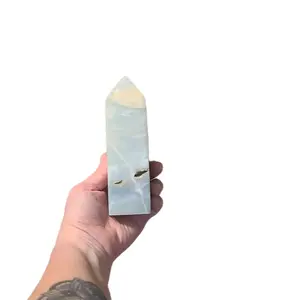 Genuine Caribbean Calcite Tower with Caves