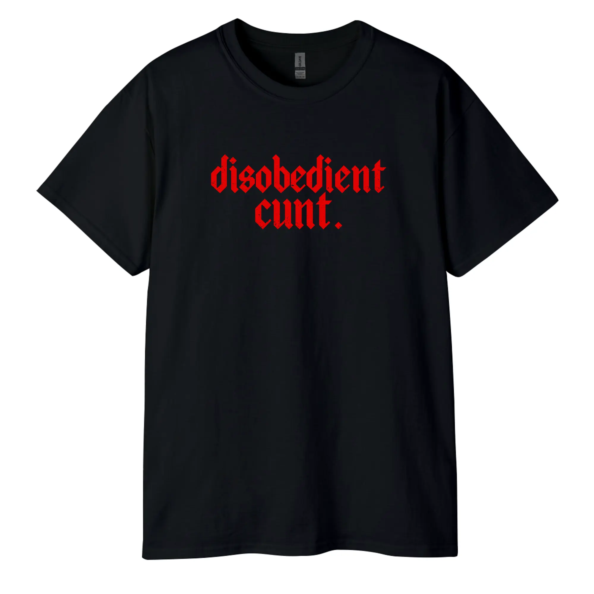 Disobedient T-Shirt 1-sided, Baddie Aesthetic Graphic Tee, Rebellious Statement Shirt, Casual Streetwear Short Sleeve Top for Men and Women