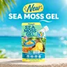 New Sea Moss Gel - Made in USA, Gluten-Free Edible Supplement with Essential Nutrients, Magnesium, Healthy Minerals for Immune Support, Organic Ingredients